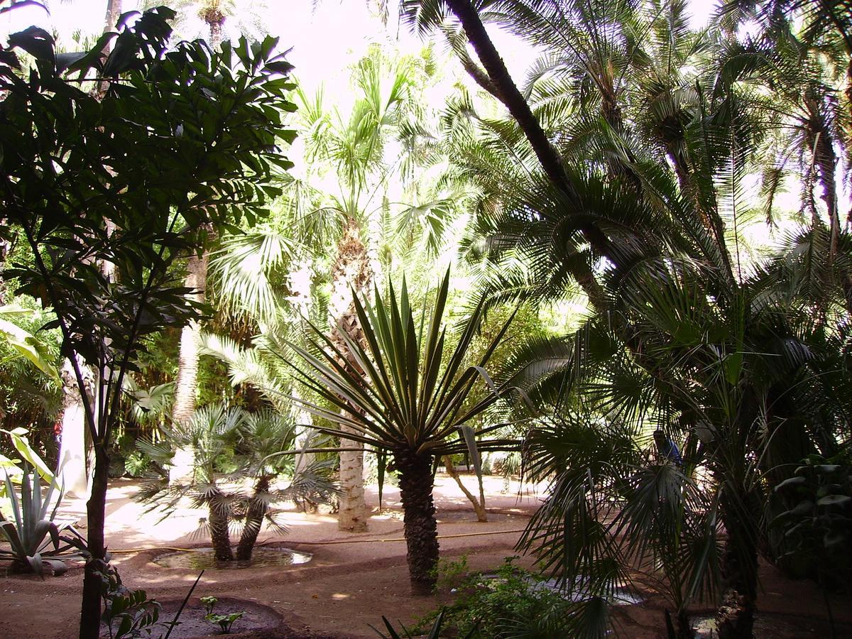 Avec Vue Jardin/majorelle Apartamento Marrakesh